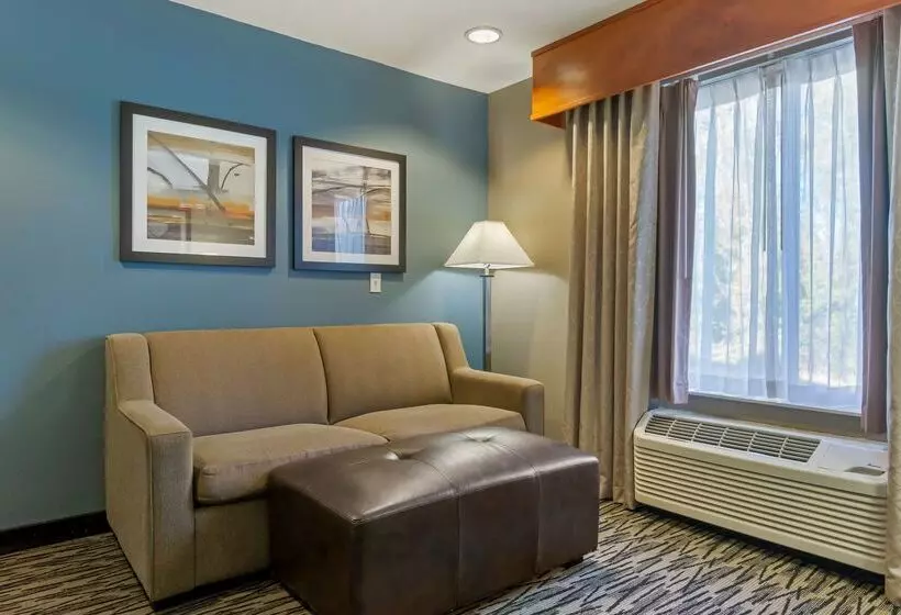 酒店 Best Western Plus Mountain View Auburn Inn