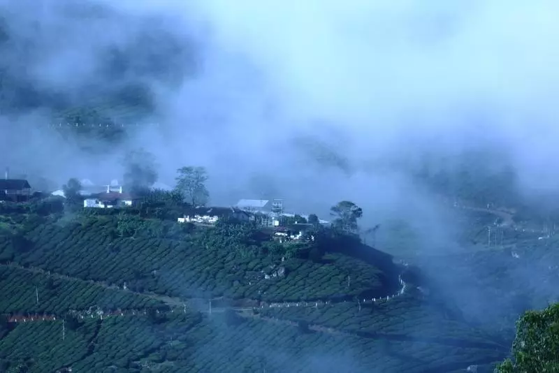 Hotel Fort Munnar