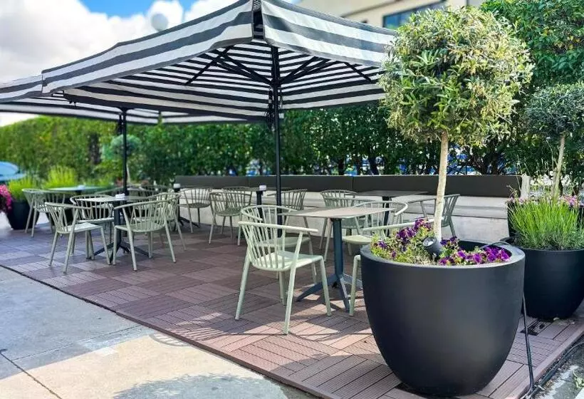 酒店 Iris Guadalajara