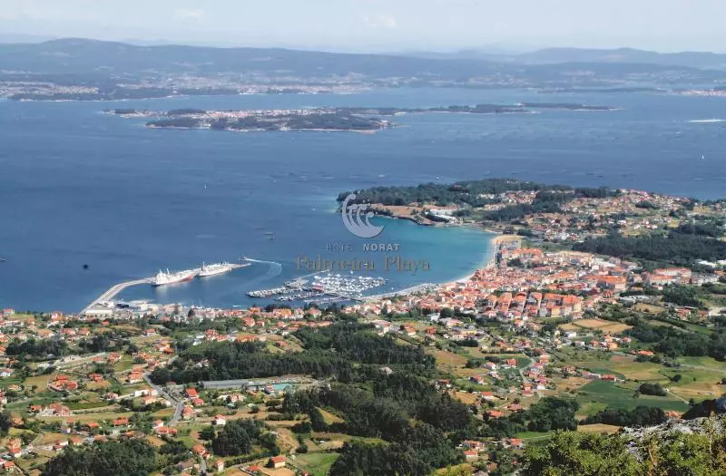 Отель Norat Palmeira Playa