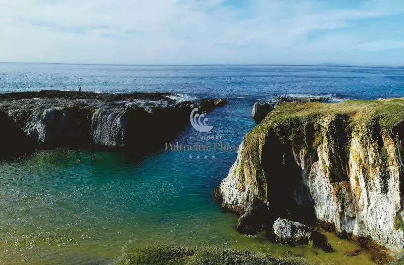 Отель Norat Palmeira Playa
