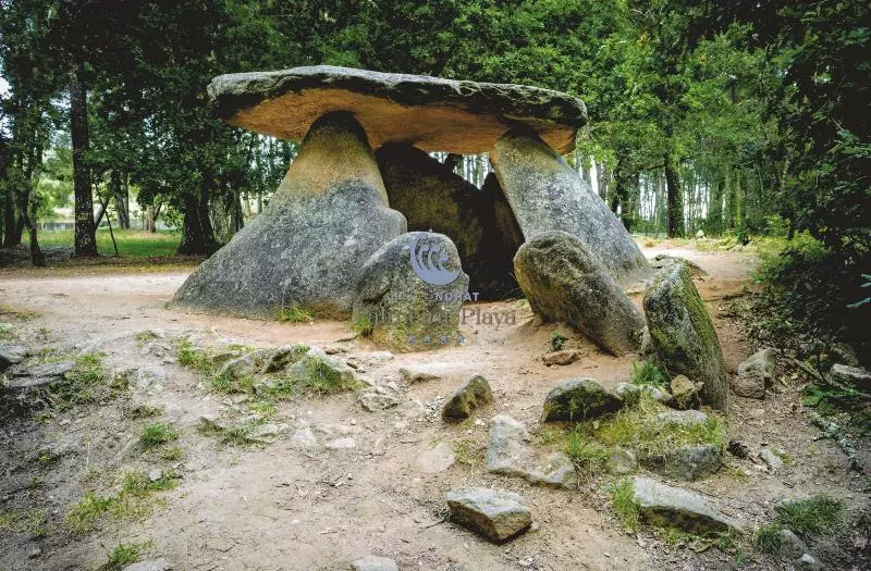 Отель Norat Palmeira Playa