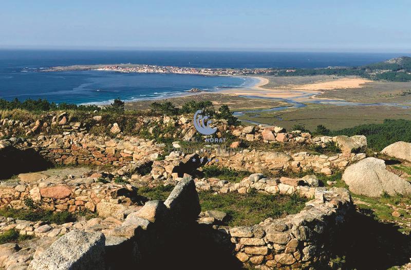 هتل Norat Palmeira Playa