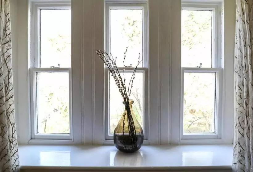 בית מלון כפרי The Black Swan