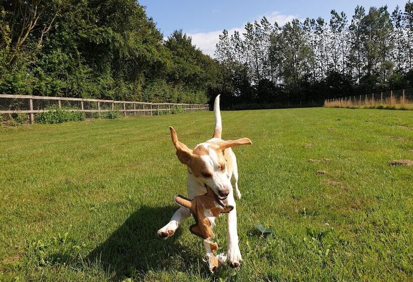 فندق Wingfield Escapes