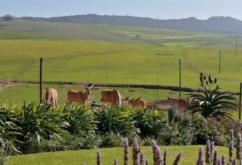 Majatalo Rouxwil Country House