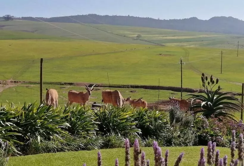 Majatalo Rouxwil Country House