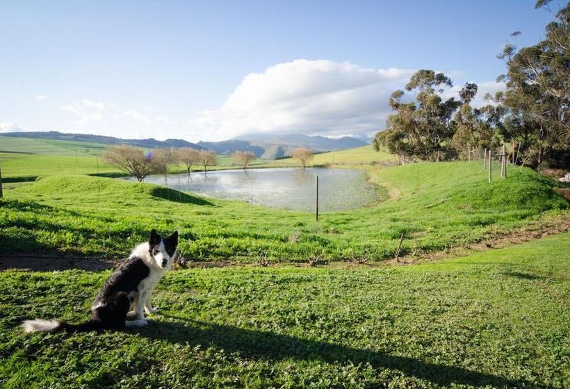 Пансион Rouxwil Country House