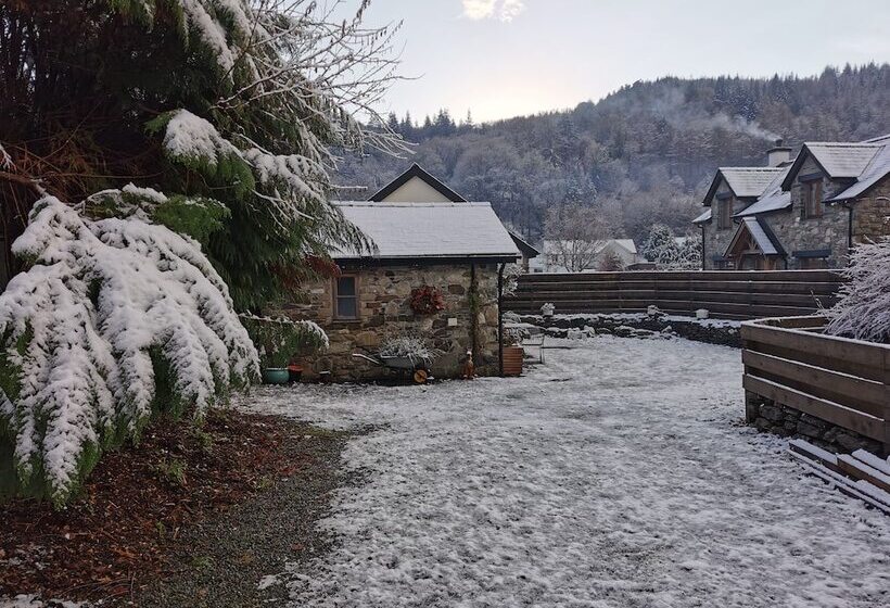 Dolweunydd Bed & Breakfast