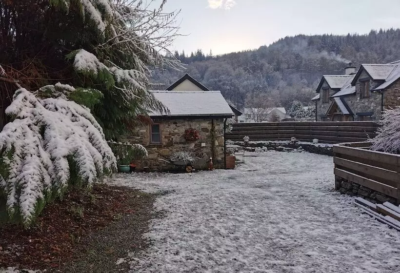 Dolweunydd Bed & Breakfast