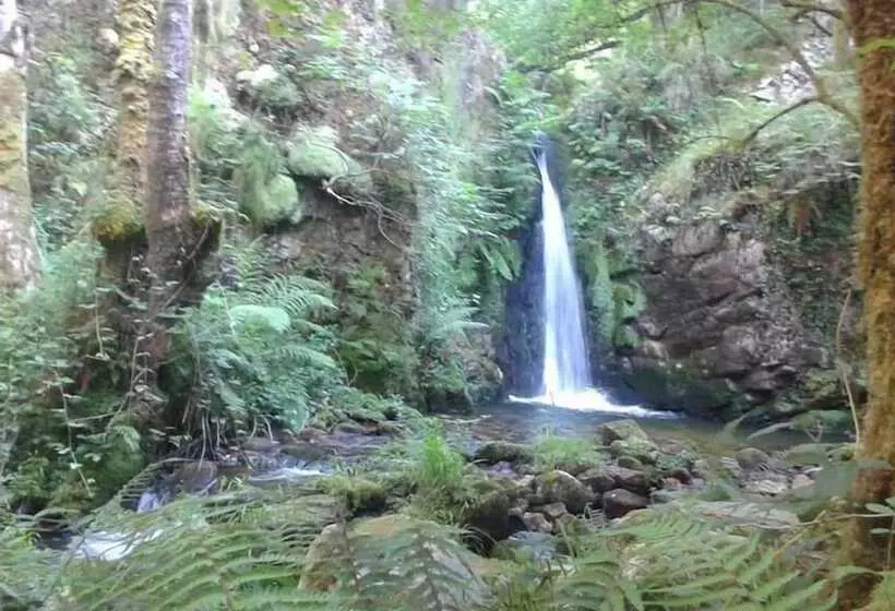 Hostelli Casona De Miyares   La Figar