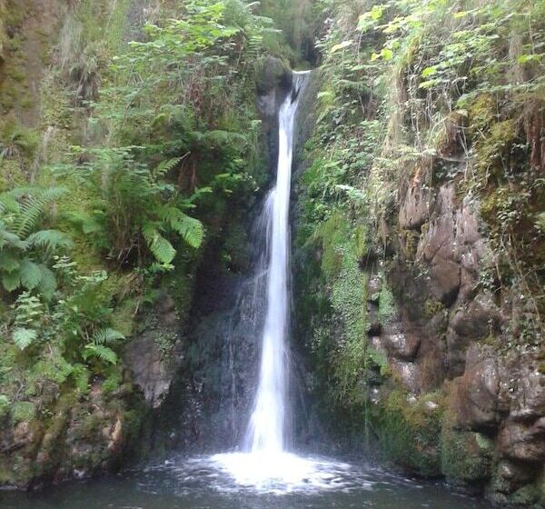 Hostal Casona De Miyares   La Figar
