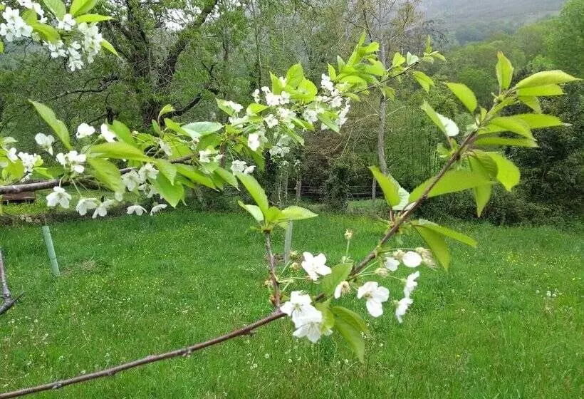 Hostelli Casona De Miyares   La Figar