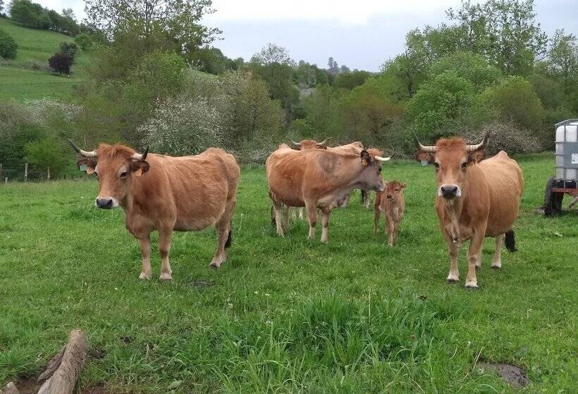 Hostal Casona De Miyares   La Figar