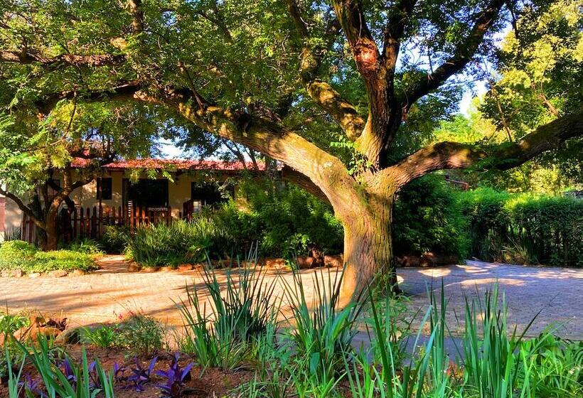 ホテル Pine Valley Lodge