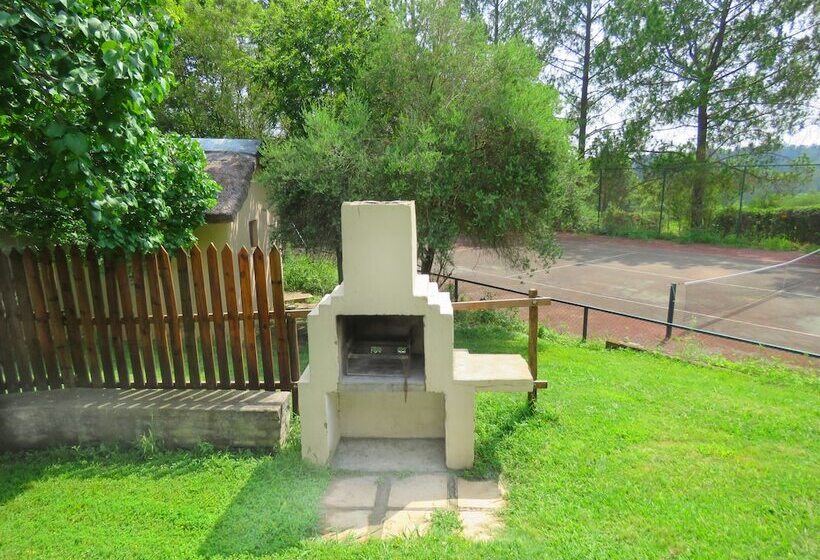 ホテル Pine Valley Lodge