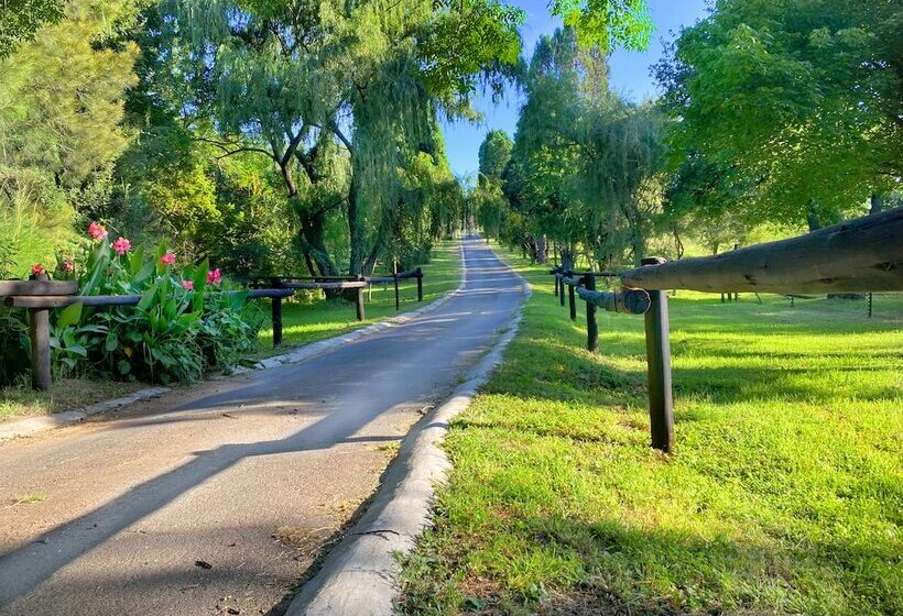 ホテル Pine Valley Lodge