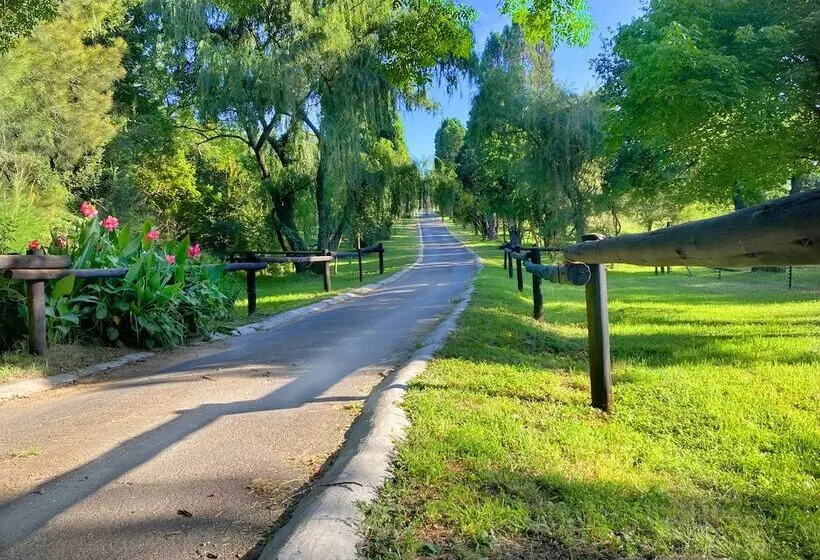 ホテル Pine Valley Lodge