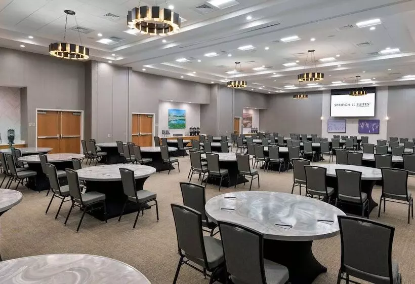 Hotelli Springhill Suites Lakeland