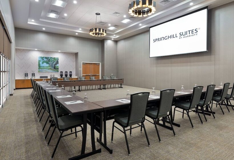 בית מלון כפרי Springhill Suites Lakeland