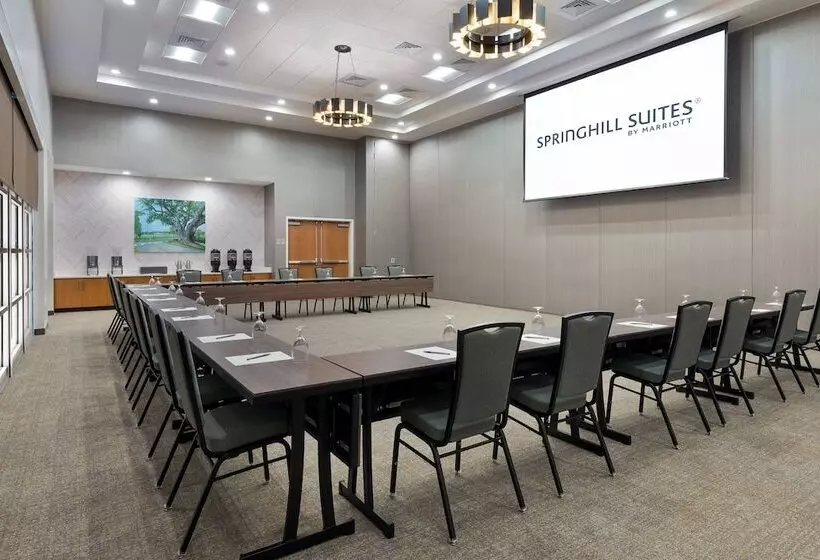 Hotelli Springhill Suites Lakeland