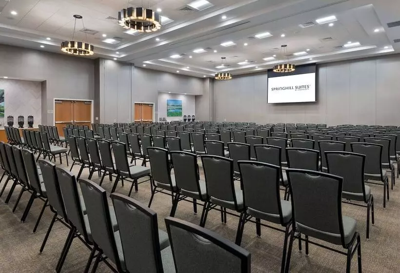 Hotelli Springhill Suites Lakeland