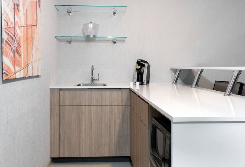 בית מלון כפרי Springhill Suites Lakeland