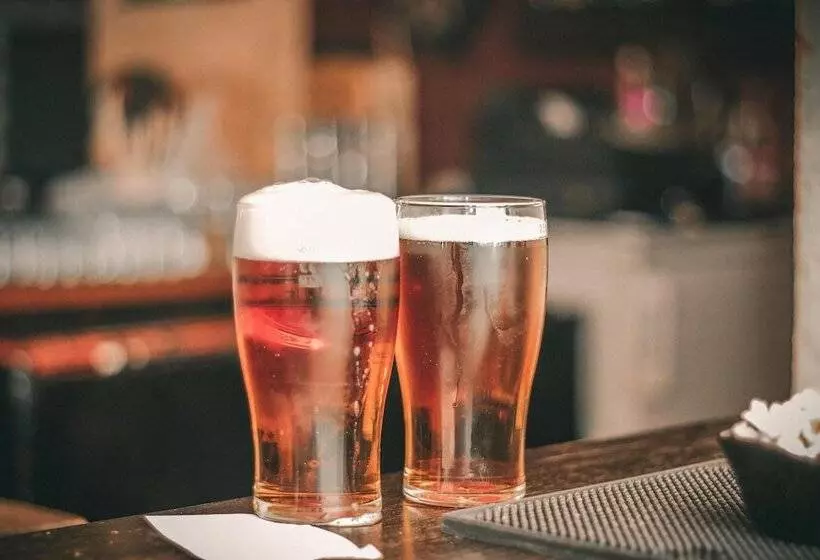 Motelli Imperial Hotel Singleton