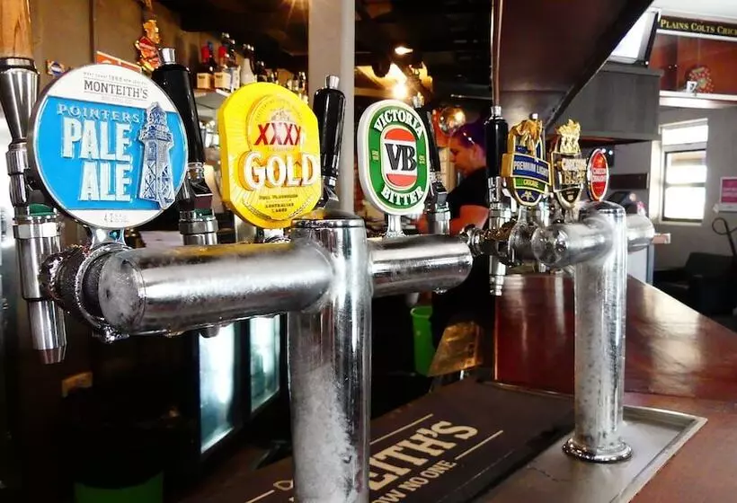 Motelli Imperial Hotel Singleton