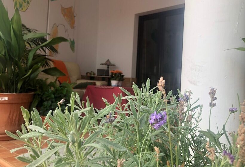 پانسیون Habitaciones En Almonte