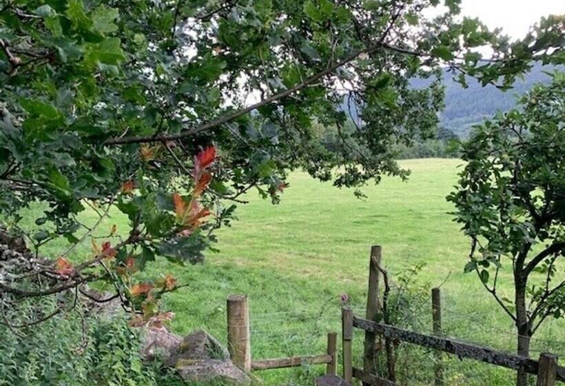 A Fairytale Thatched Highland Cottage