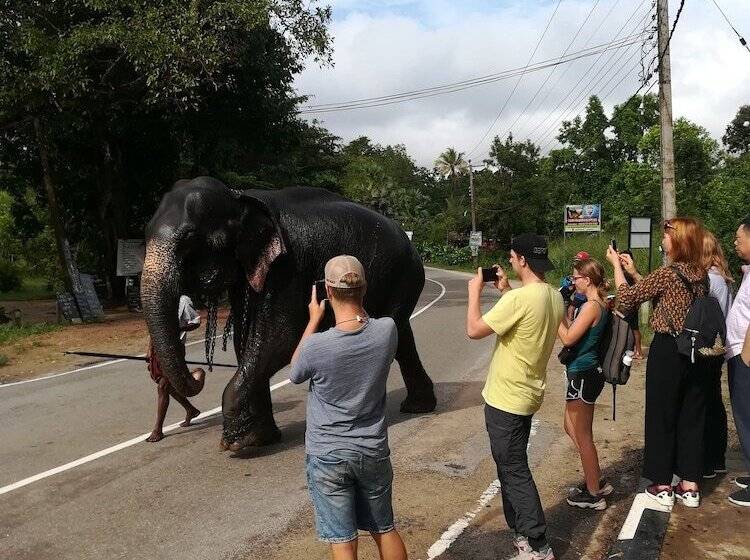 בית מלון כפרי Tiny Holiday Resort