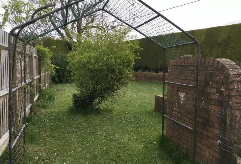 Majatalo 1 Ashford Road Guesthouse