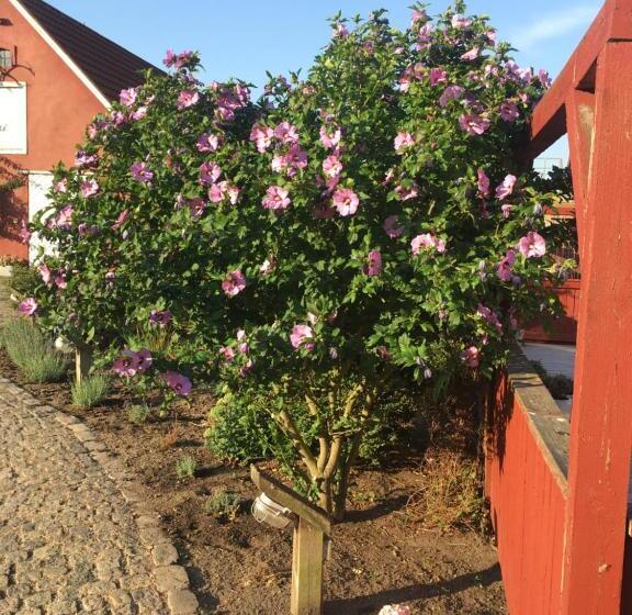 Bed and Breakfast Hos Mette