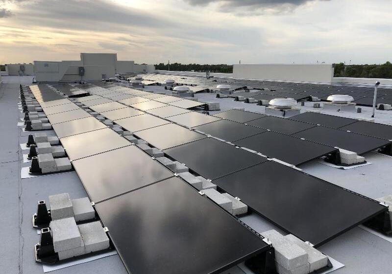 ホテル Comfort Suites Stuarthutchinson Island