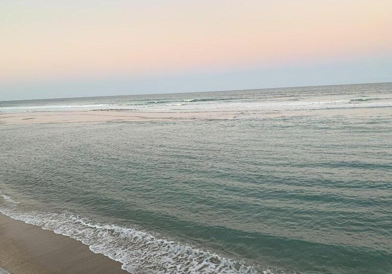 ホテル Comfort Suites Stuarthutchinson Island