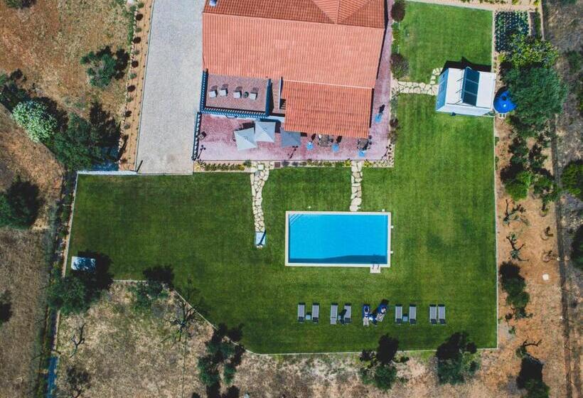 Vila Fuzeta Bed & Breakfast