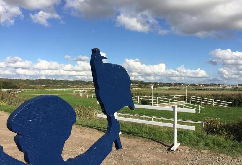 هاستل Auberge Riva Bella