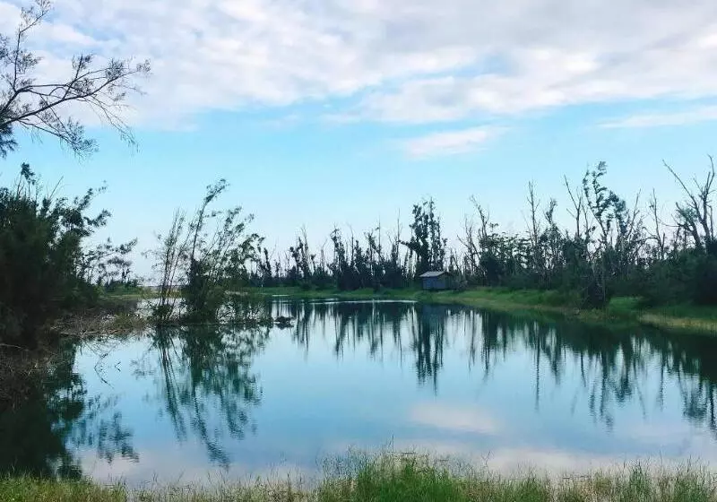 تختخواب و صبحانه Seed House