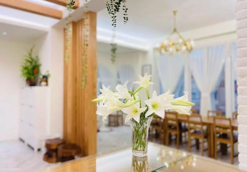 تختخواب و صبحانه Seed House