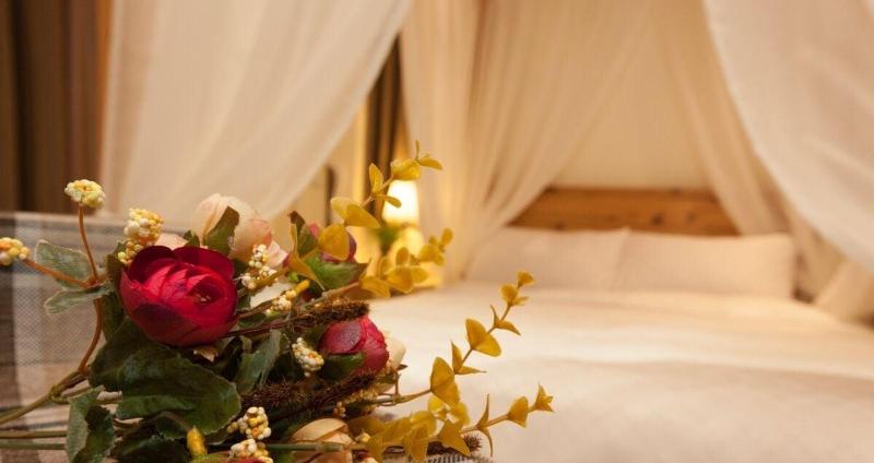 تختخواب و صبحانه Seed House