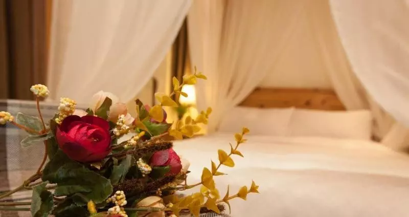 تختخواب و صبحانه Seed House