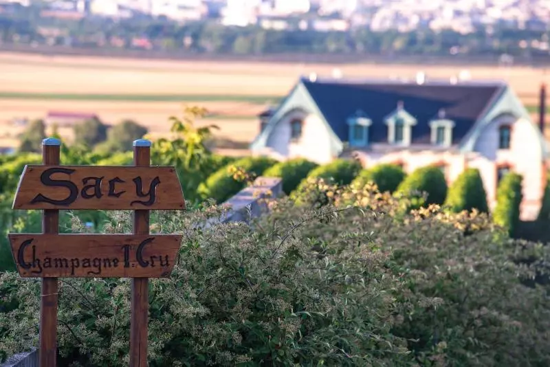 Hotelli Chateau De Sacy