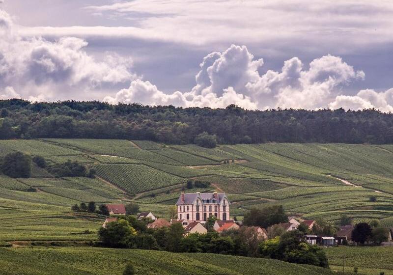 Отель Chateau De Sacy