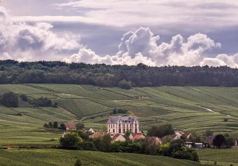 Hotelli Chateau De Sacy
