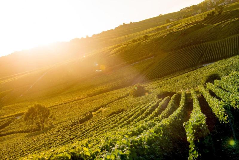 Отель Chateau De Sacy