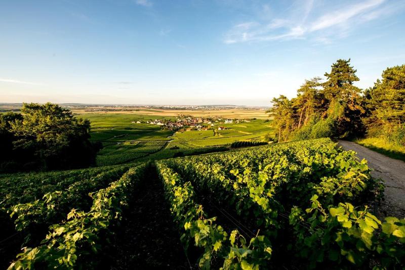 Отель Chateau De Sacy