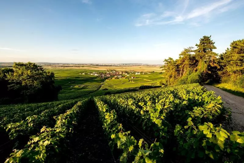 Hotelli Chateau De Sacy