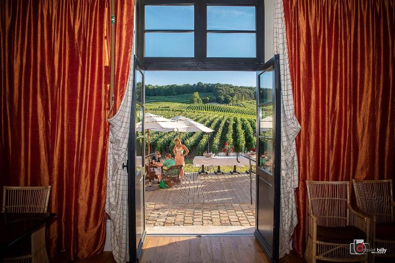 Отель Chateau De Sacy