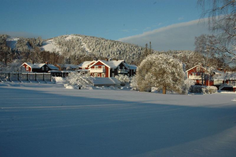 Hotel L Järvsöbaden